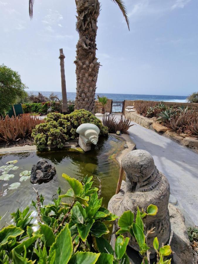 Little Paradise In El Medano Granadilla De Abona Ngoại thất bức ảnh